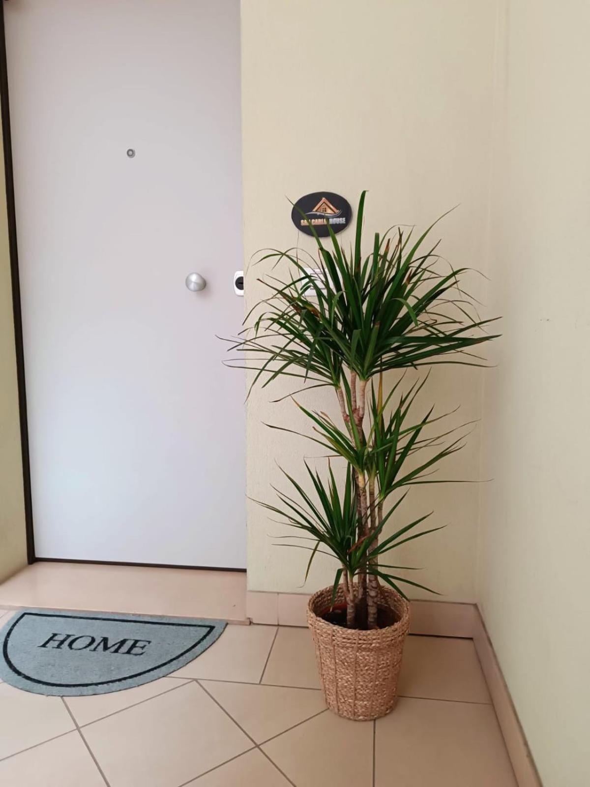 Appartamento San Carlo House Castel Guelfo Di Bologna Esterno foto